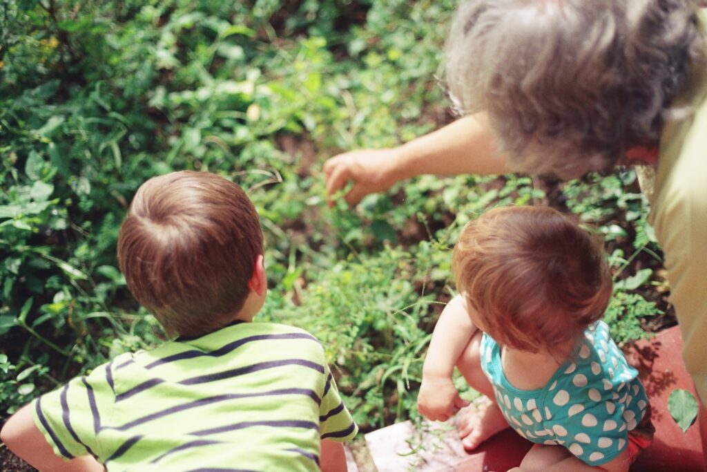 a group of children looking at plants