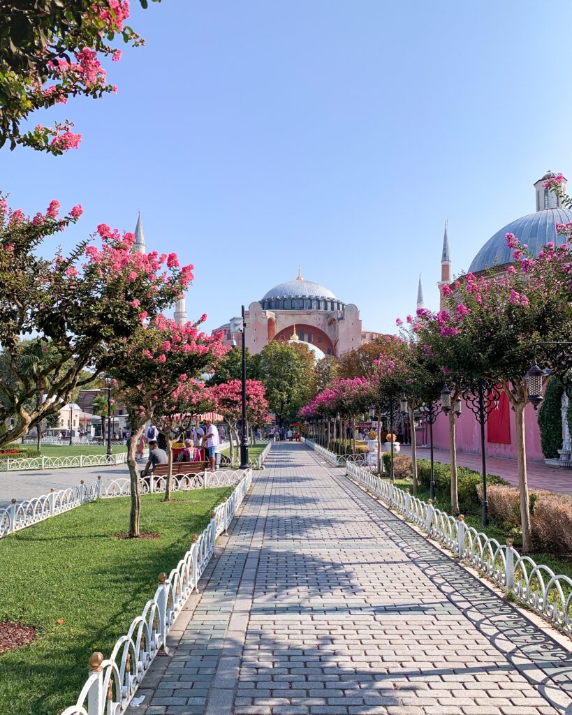 a walkway with trees and flowers on it