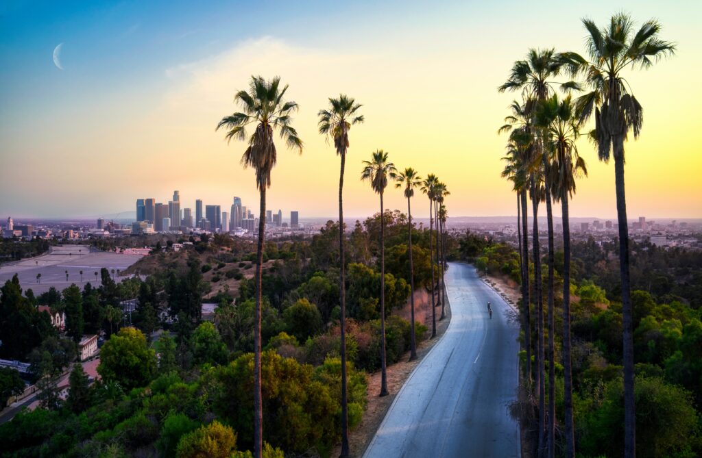 a road with palm trees and a city in the background