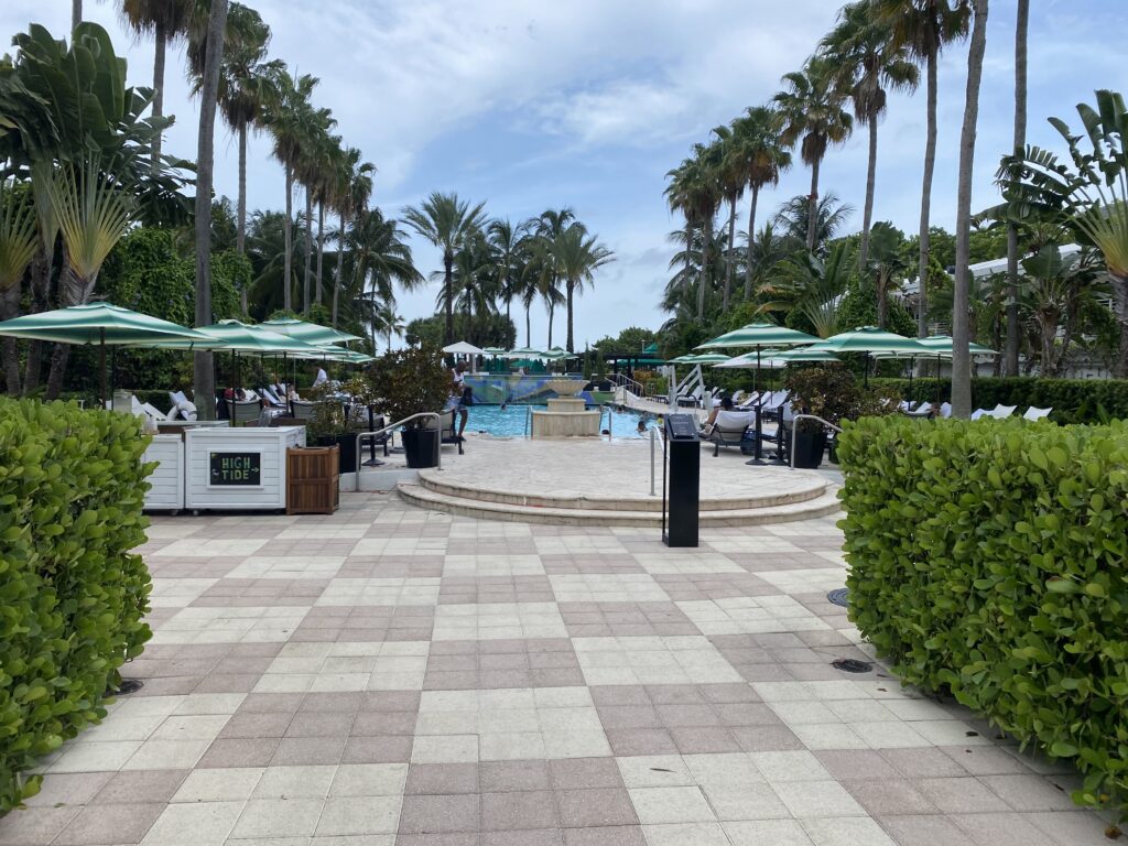 a pool with umbrellas and chairs and palm trees