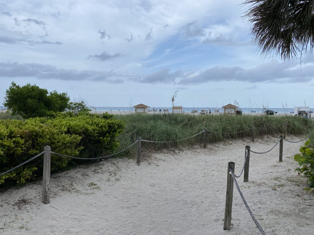 a path with rope fence and bushes and a beach