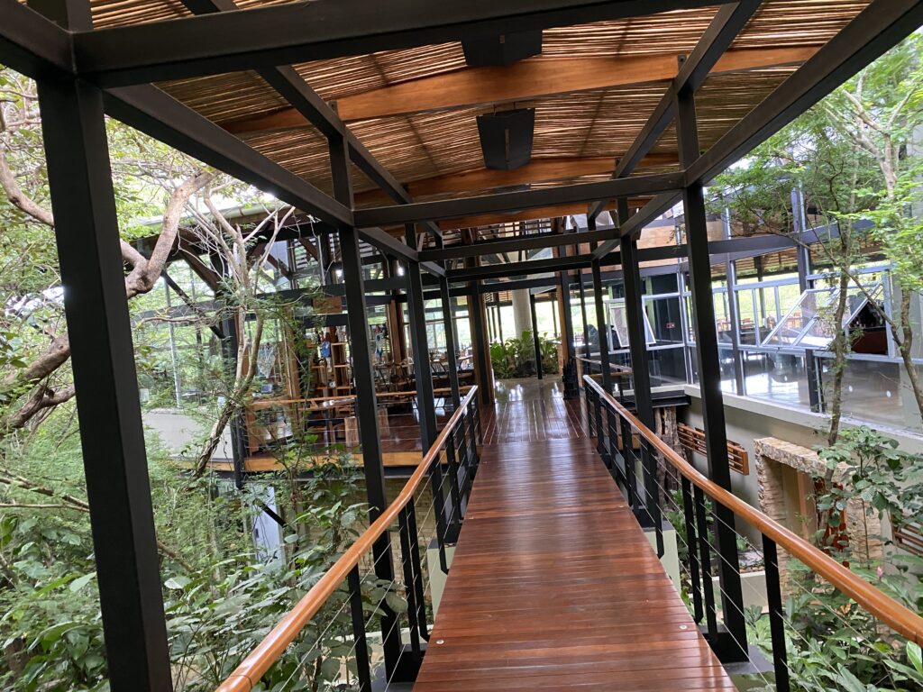 a walkway with a wood railing and metal frame