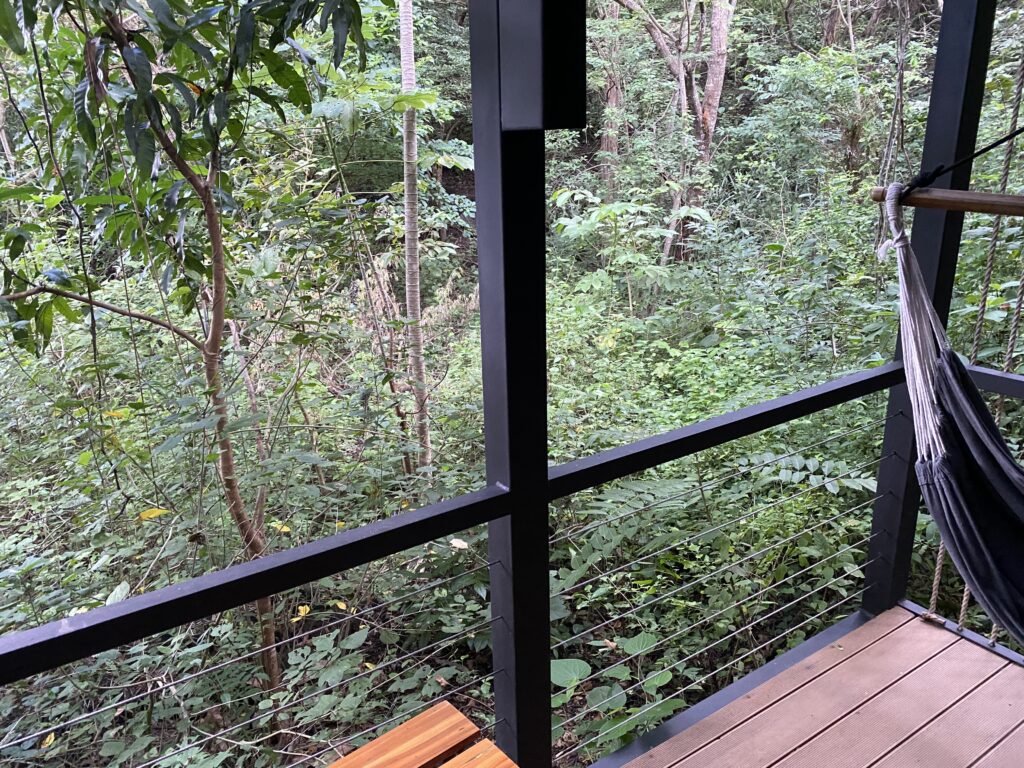 a deck with a wood bench and a railing and trees