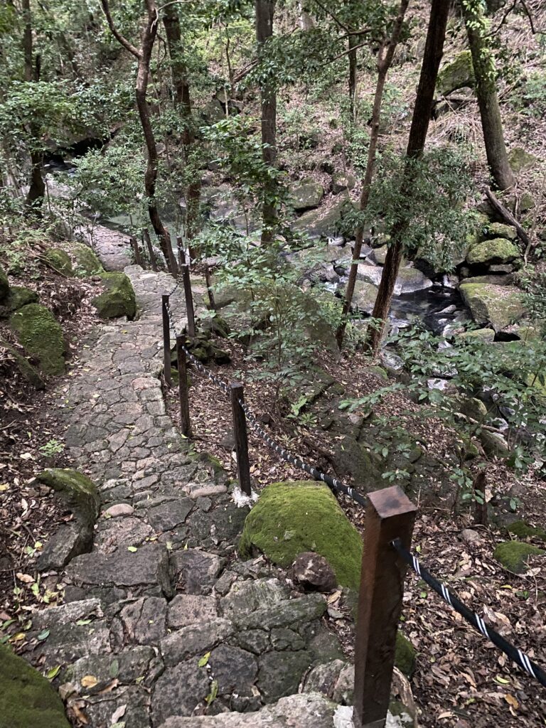 a stone path in the woods