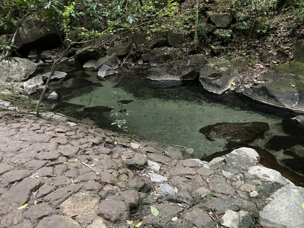 a small pond surrounded by rocks