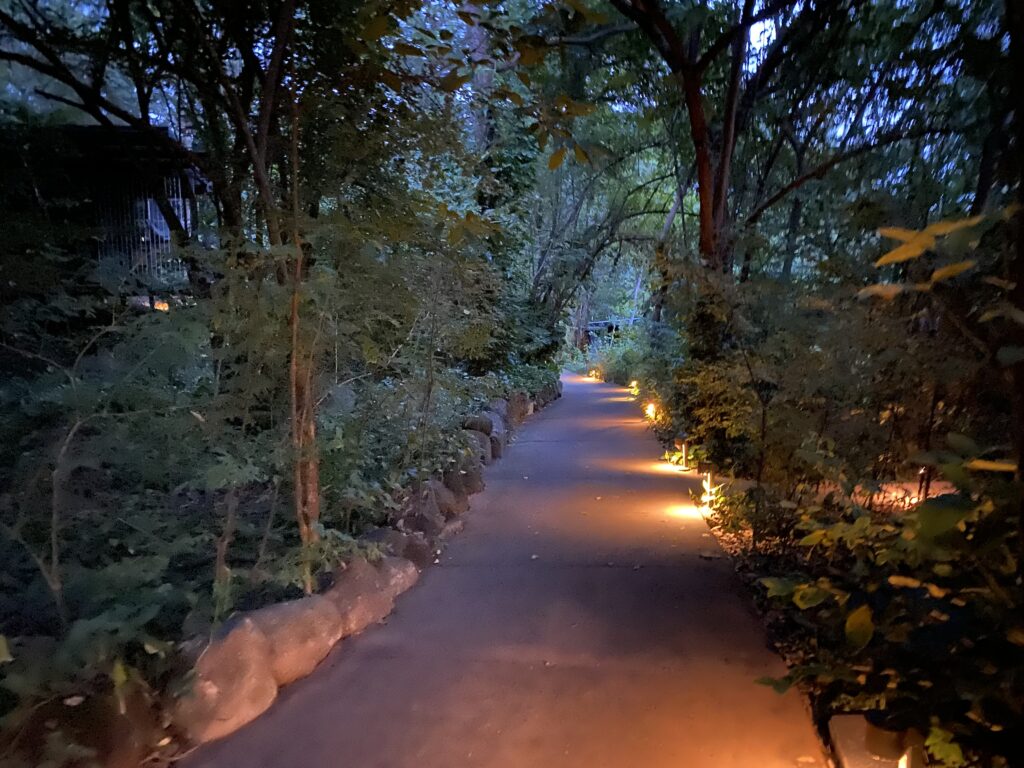 a path with lights on it