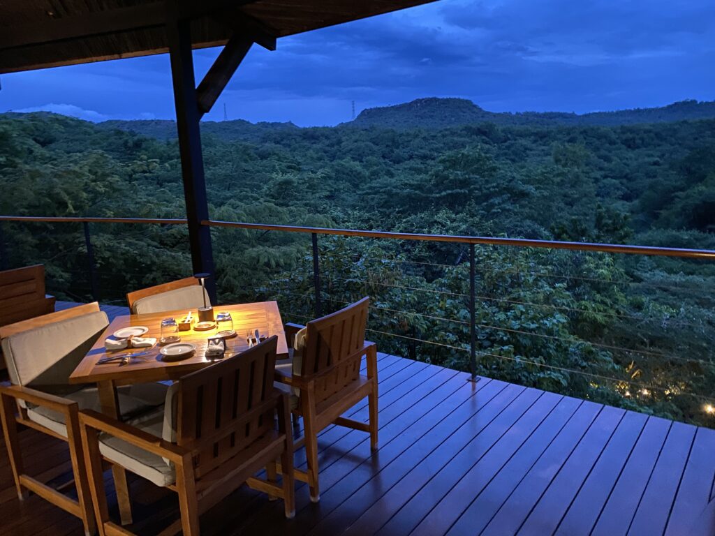 a table and chairs on a deck overlooking a forest