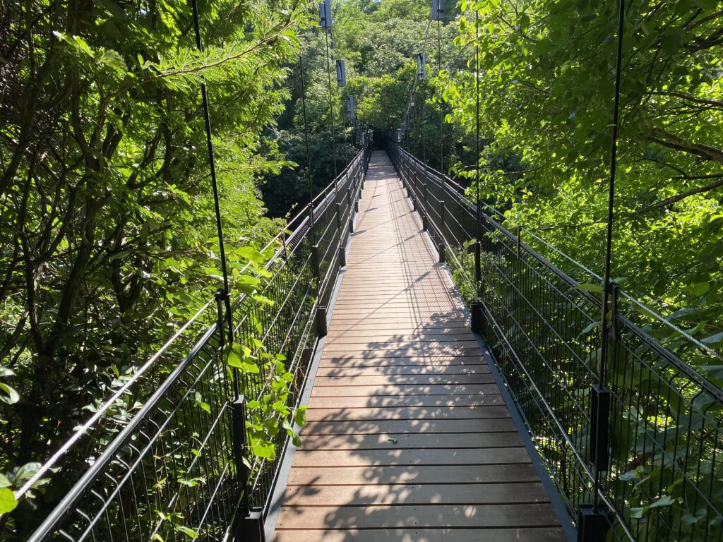 a bridge with trees around it