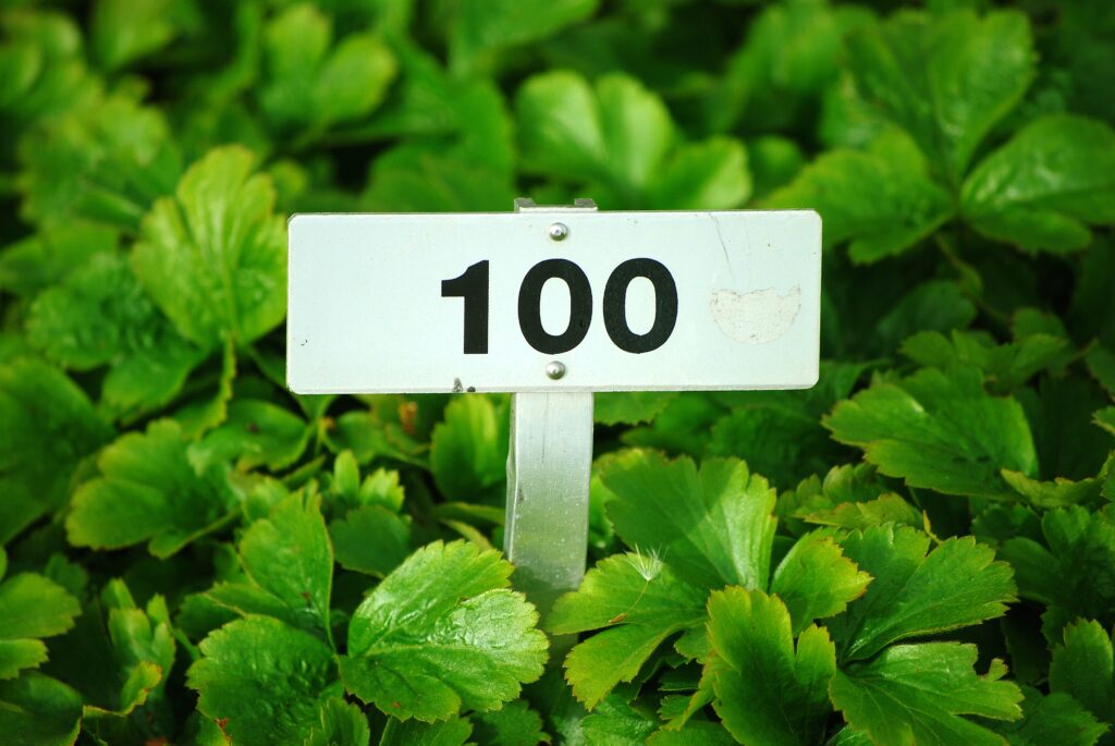 a sign in a bush
