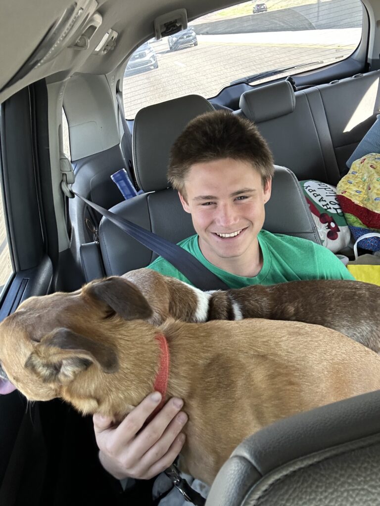 a boy in a car with a dog