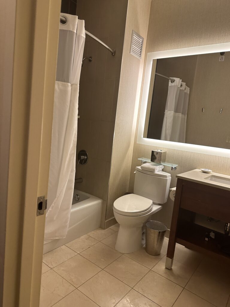 a bathroom with a mirror and toilet