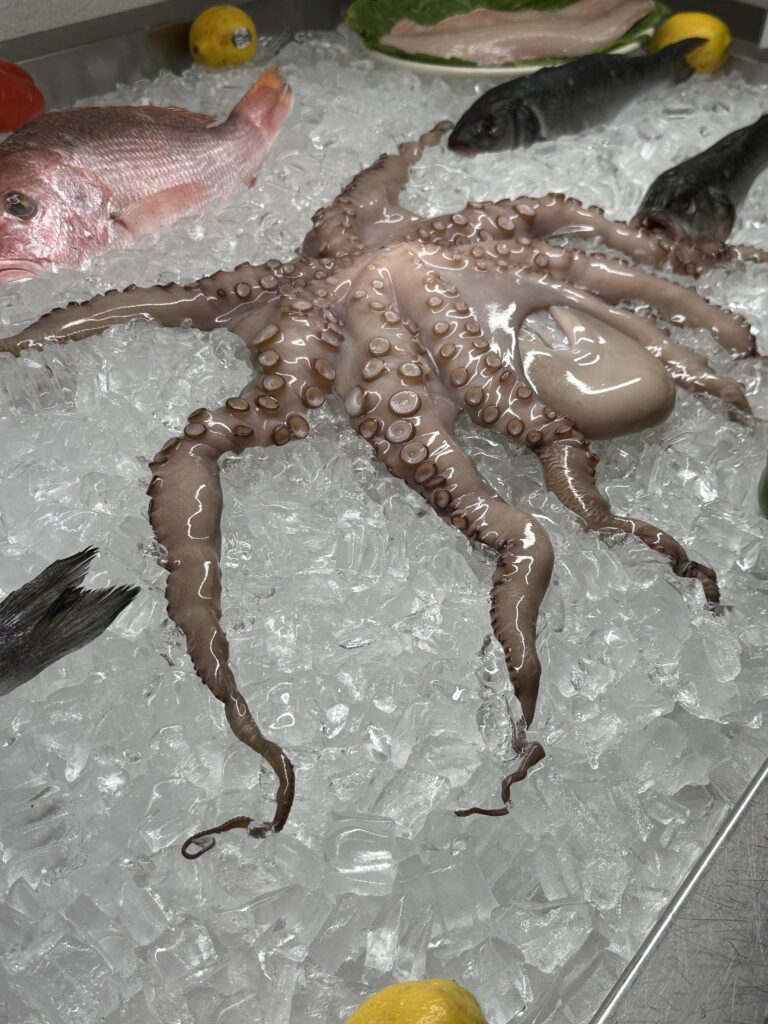 a large octopus on ice