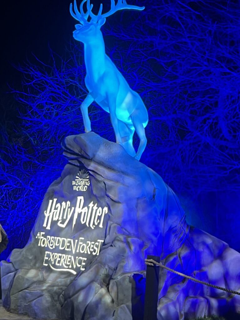 Harry Potter: A Forbidden Forest Experience