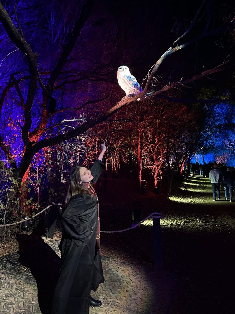a woman pointing at an owl on a tree branch