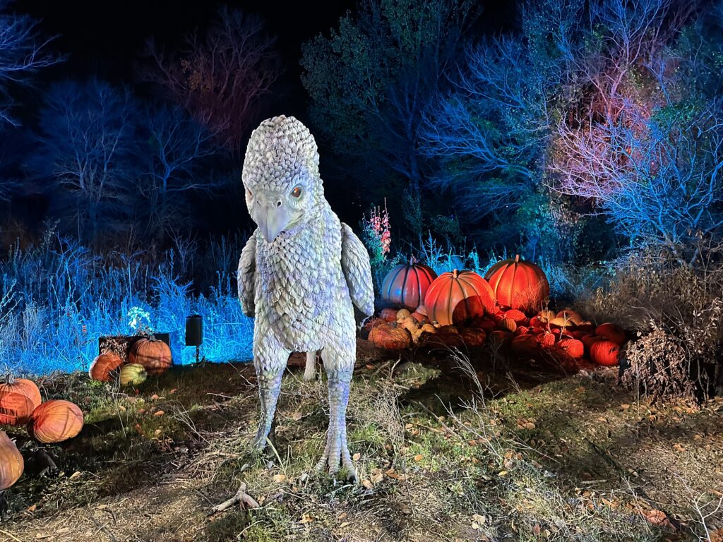 a bird standing in front of a pile of pumpkins