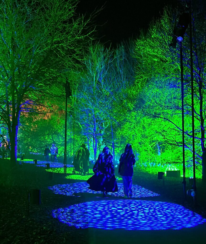 people walking on a path with blue lights