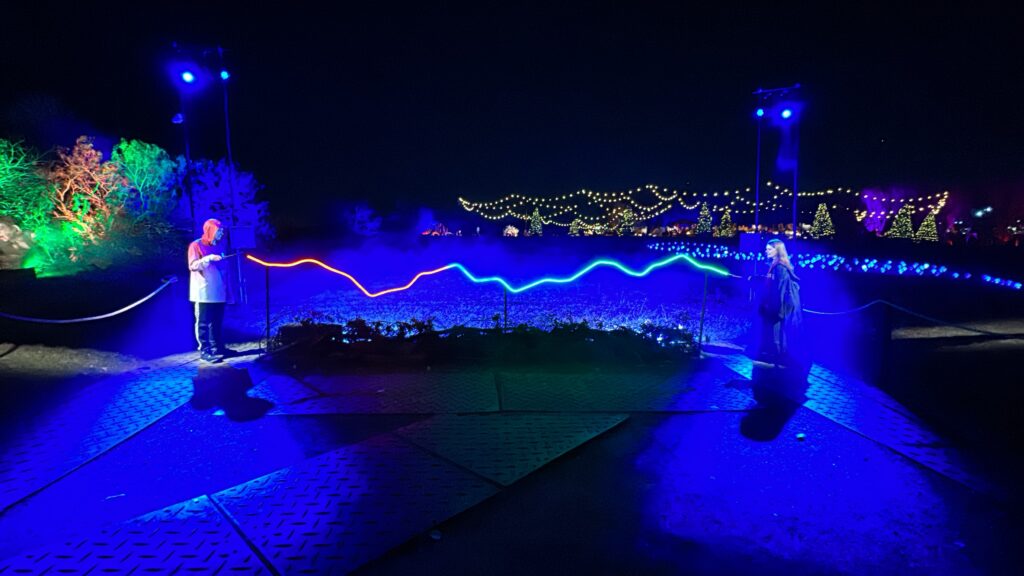 a woman standing in a garden with lights