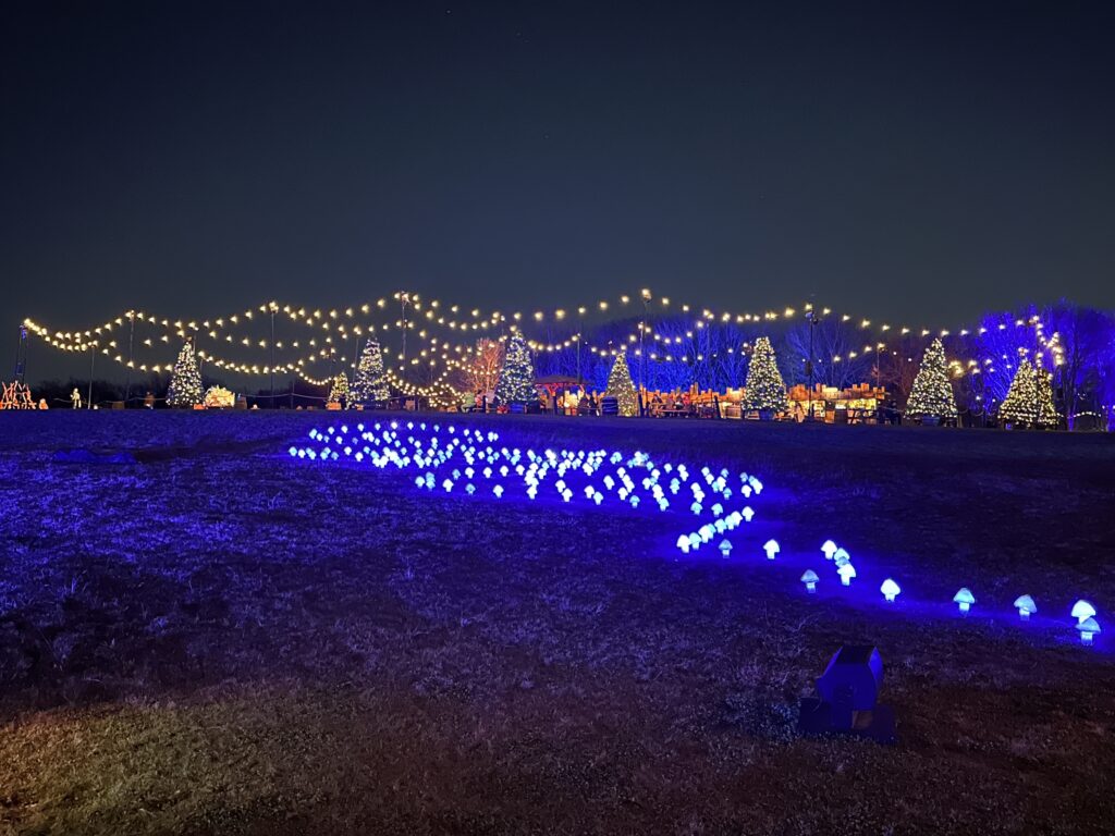 a field with lights and trees at night