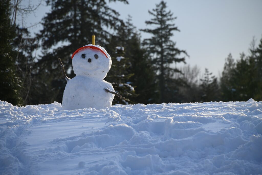 a snowman in the snow