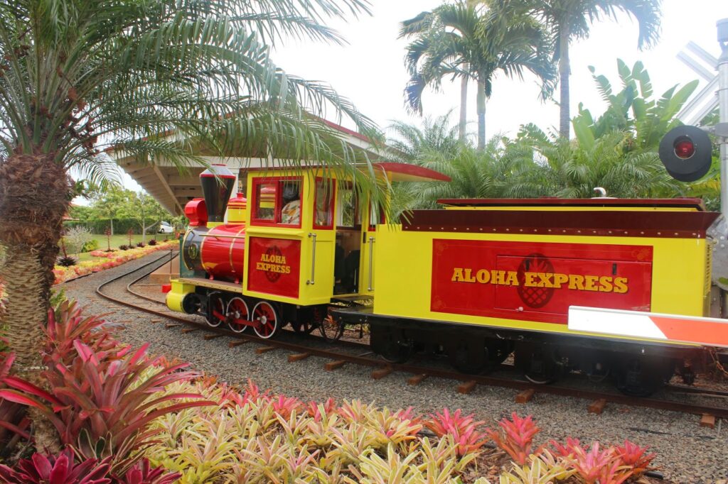 a small train on tracks with palm trees