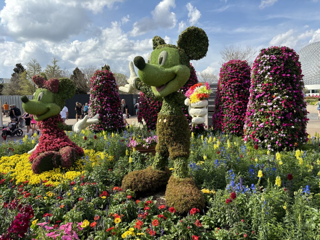 a group of plants in a garden