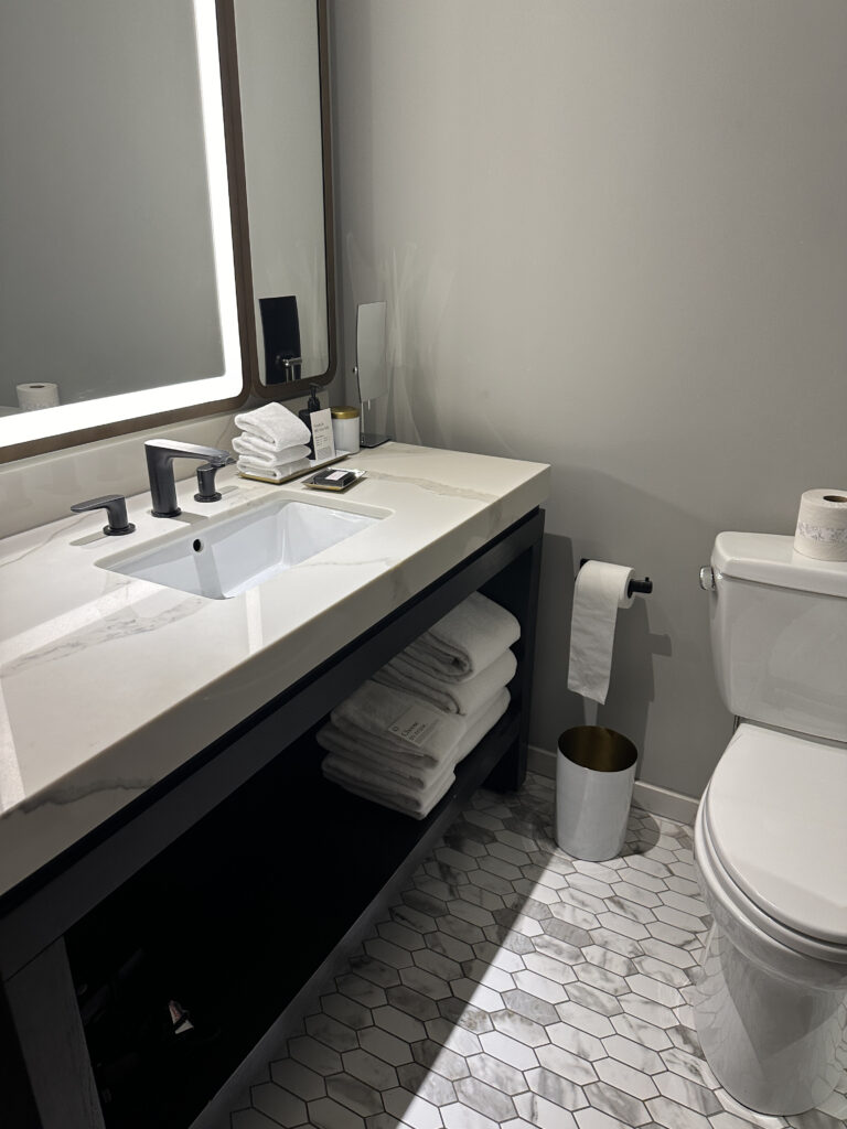 a bathroom with a sink and toilet