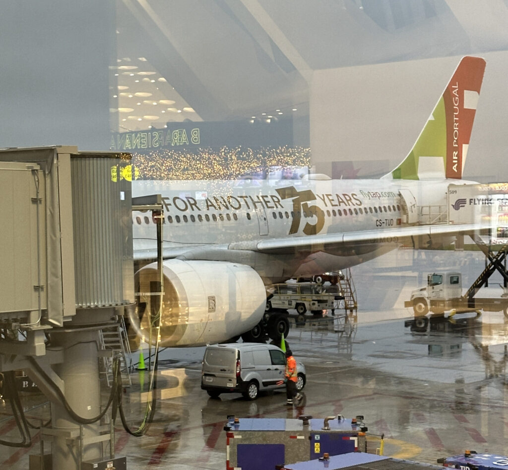 an airplane in a terminal