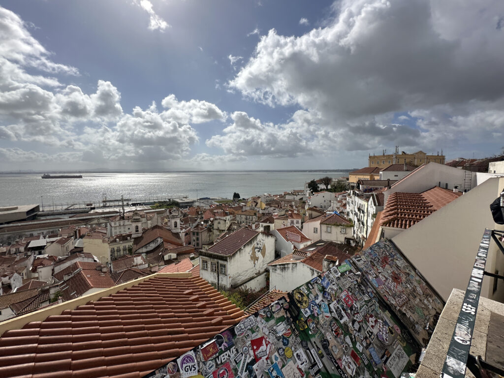 a city with red roofs and a body of water
