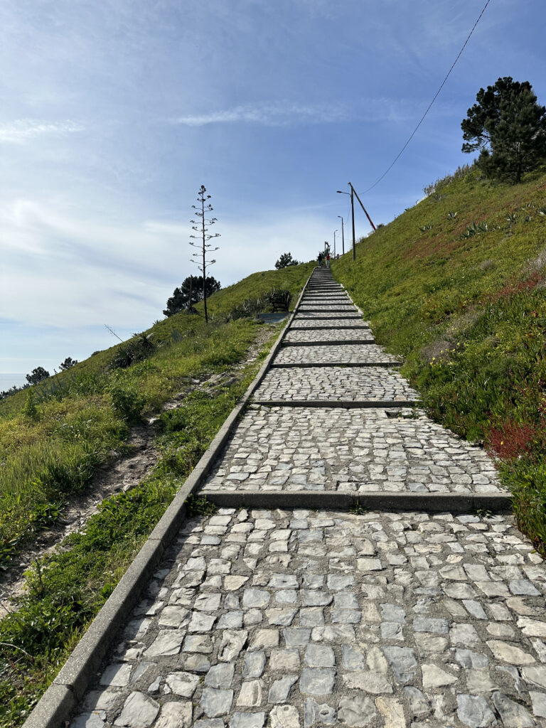 a stone path on a hill