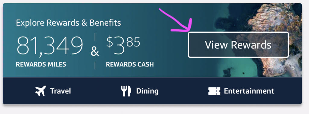 a screenshot of a credit card