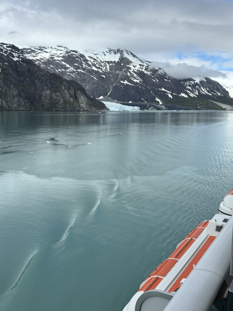 a body of water with mountains and snow