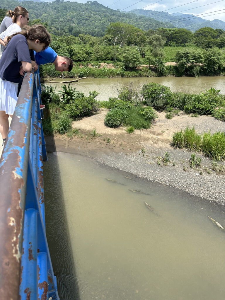a group of people looking over a bridge over a river