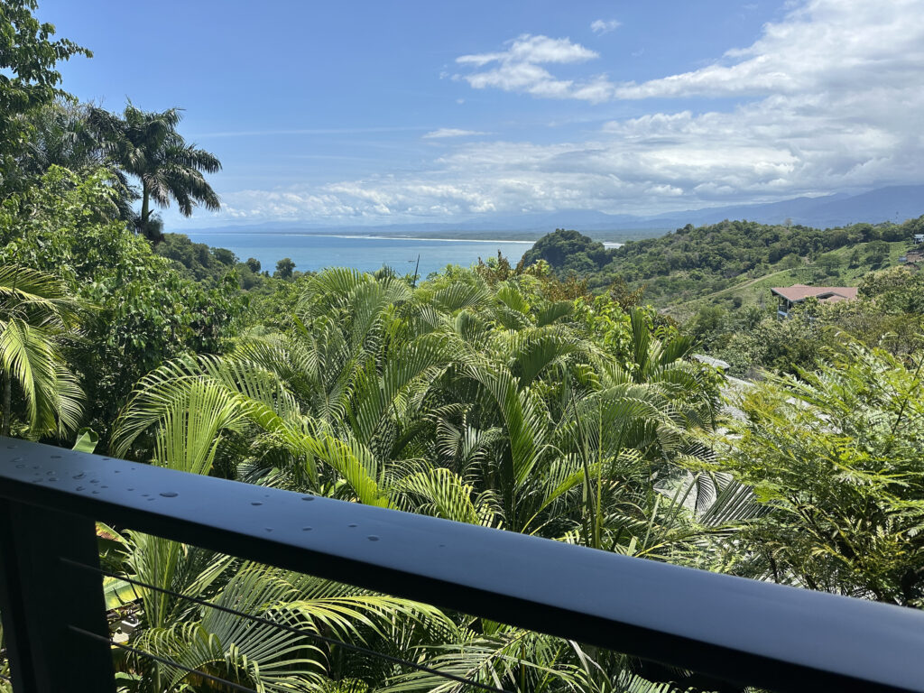 a view of a tropical forest from a balcony