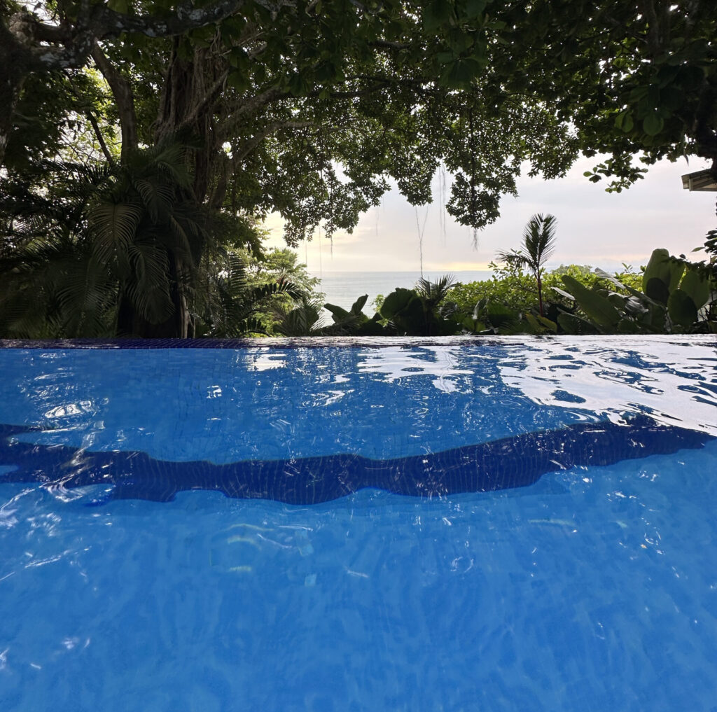 a pool with trees and water in the background