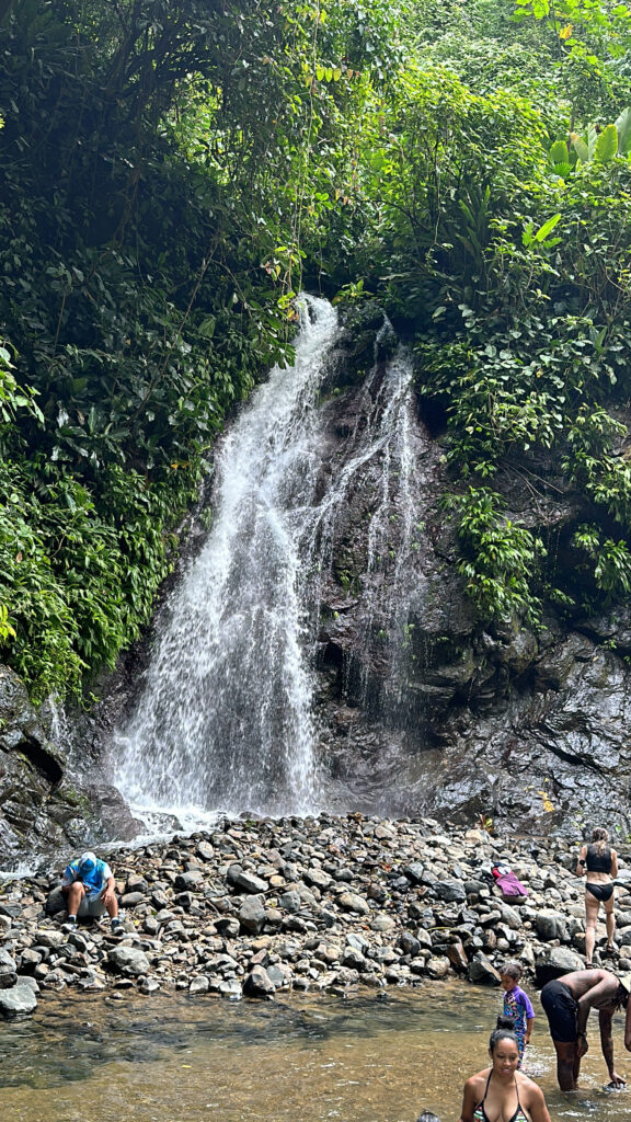 a waterfall in the middle of a forest