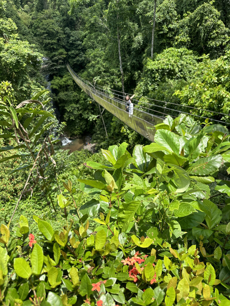a person standing on a suspension bridge over a river