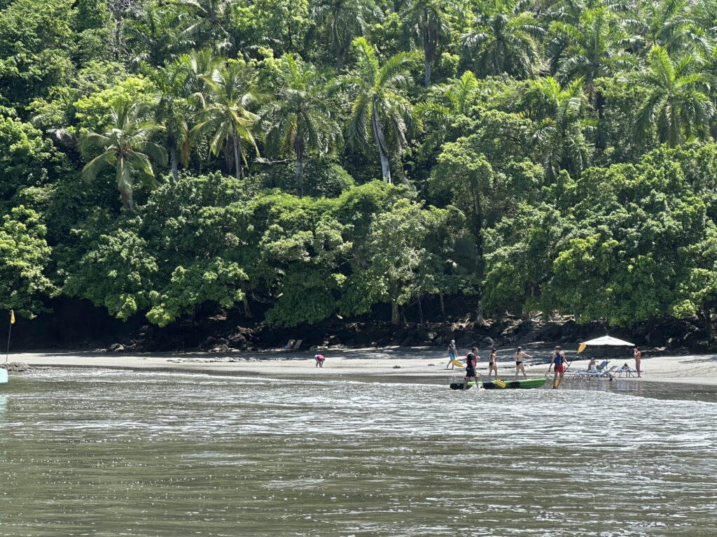 a group of people on a beach