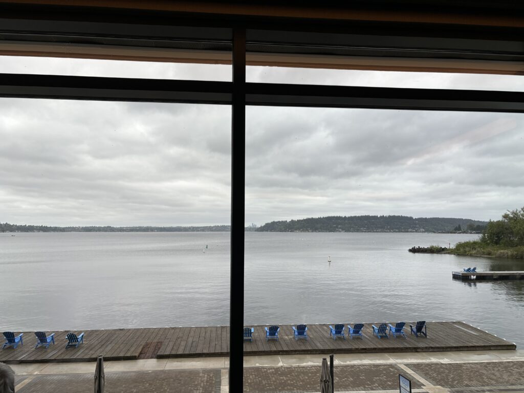 a view of a lake from a window