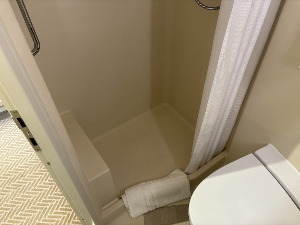 a shower with a towel on the shower