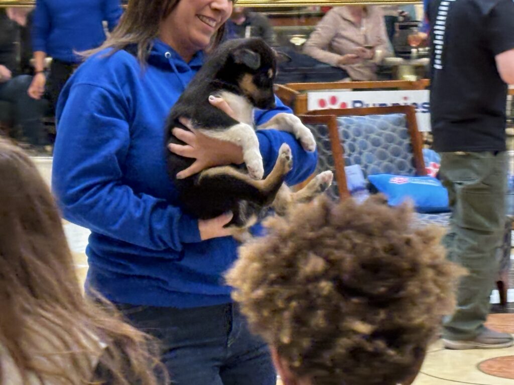 a woman holding a dog