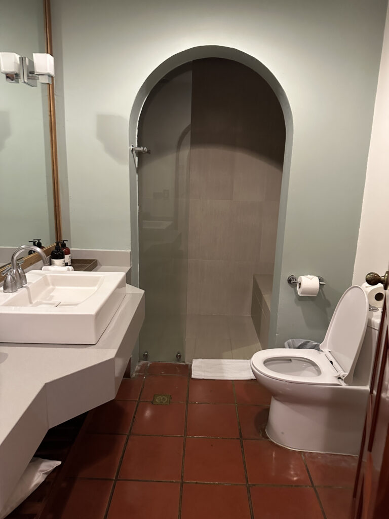 a bathroom with a sink and toilet