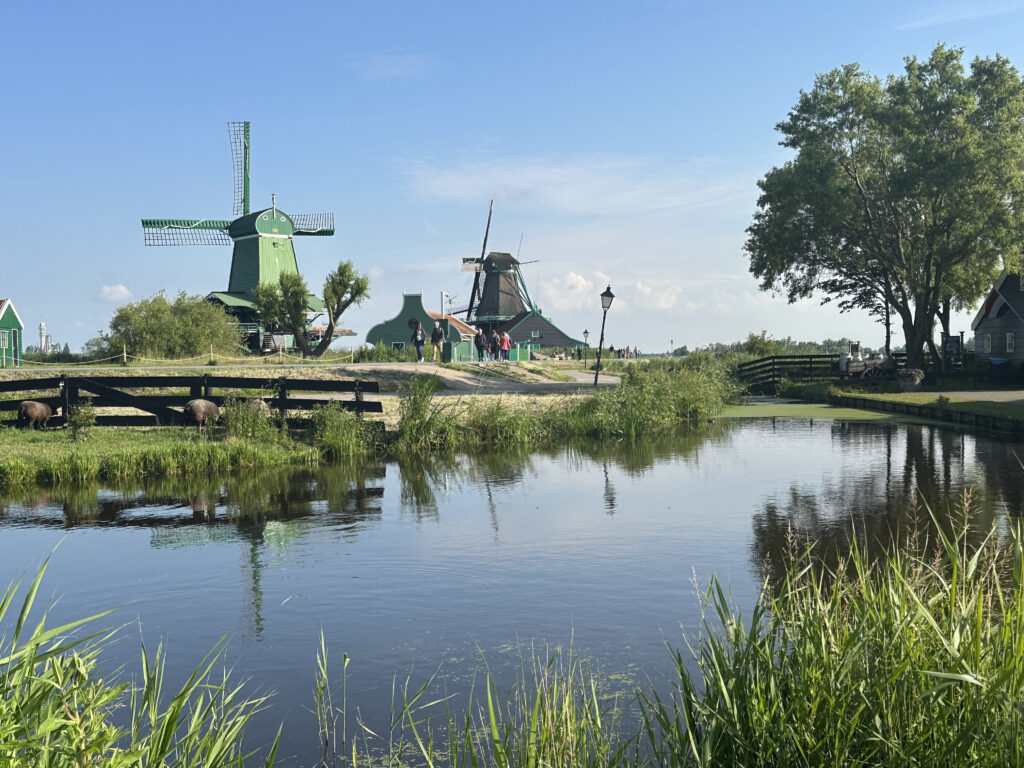a water next to a pond with a windmill