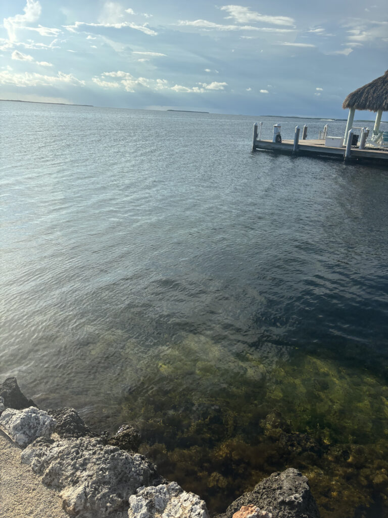 a dock on the water