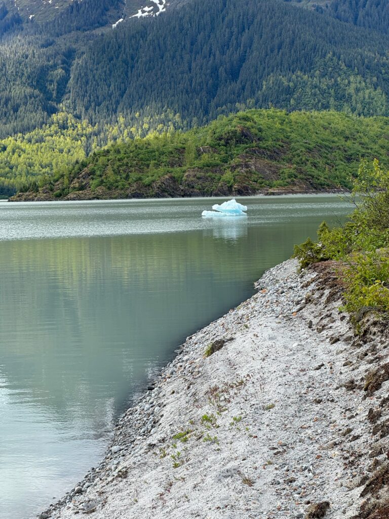 a iceberg floating in a lake