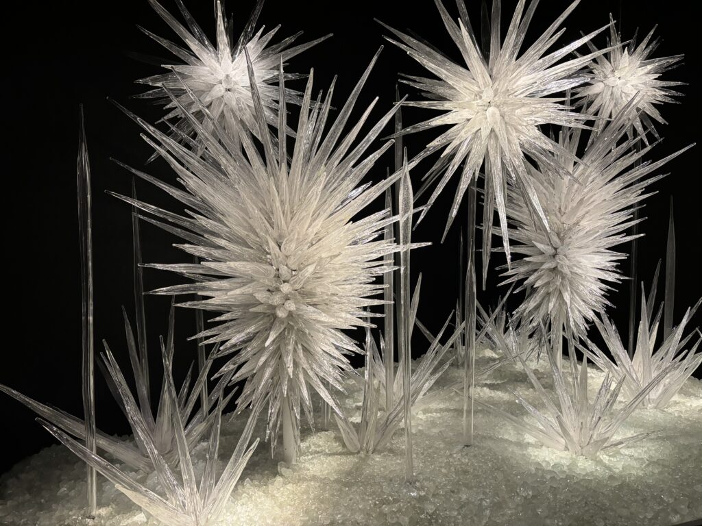 a group of white crystals
