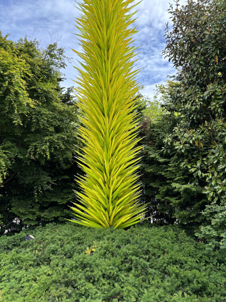 a tall yellow plant in a garden