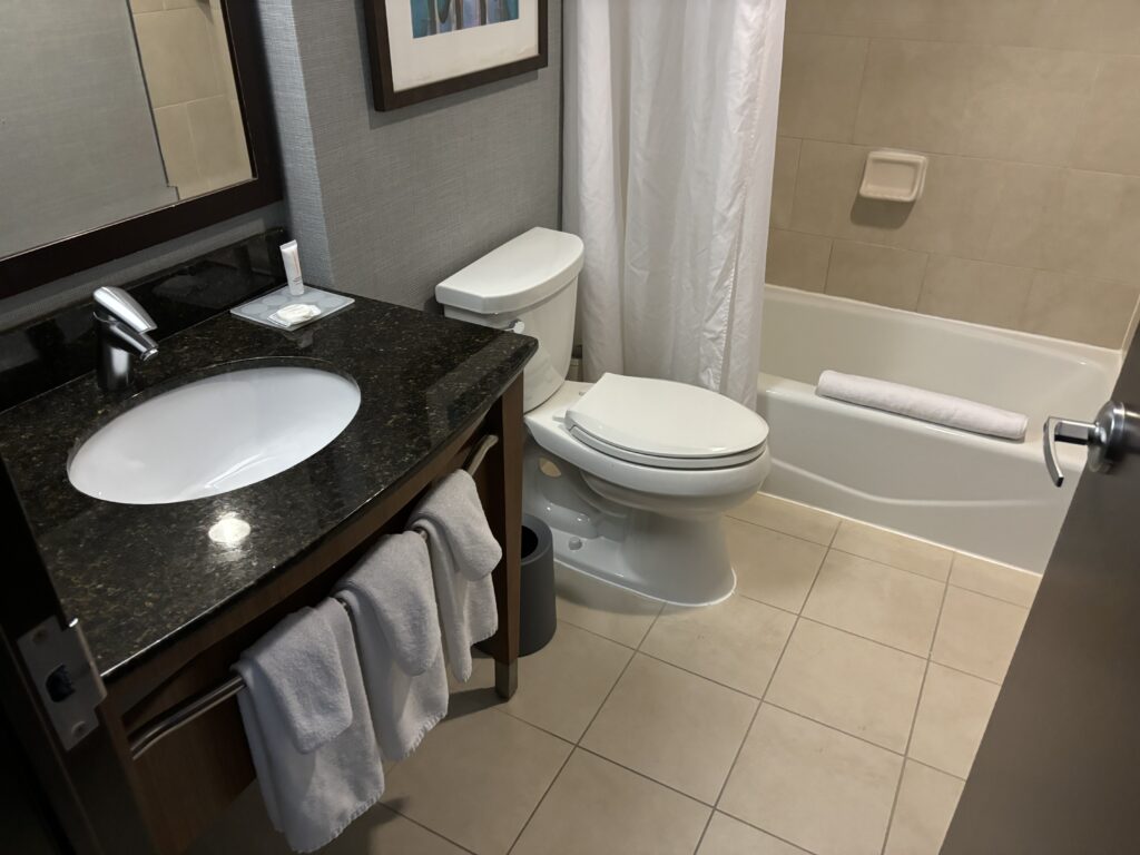 a bathroom with a sink and a toilet