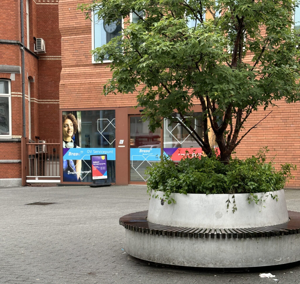 a tree in a pot