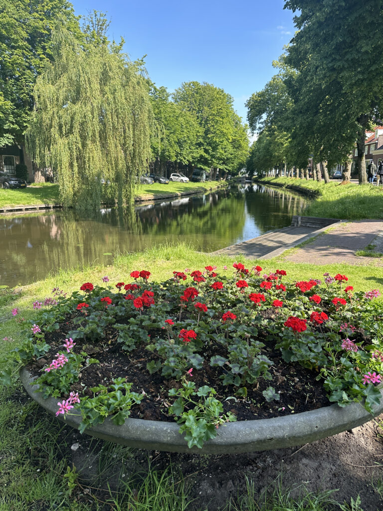 a flower bed in a park