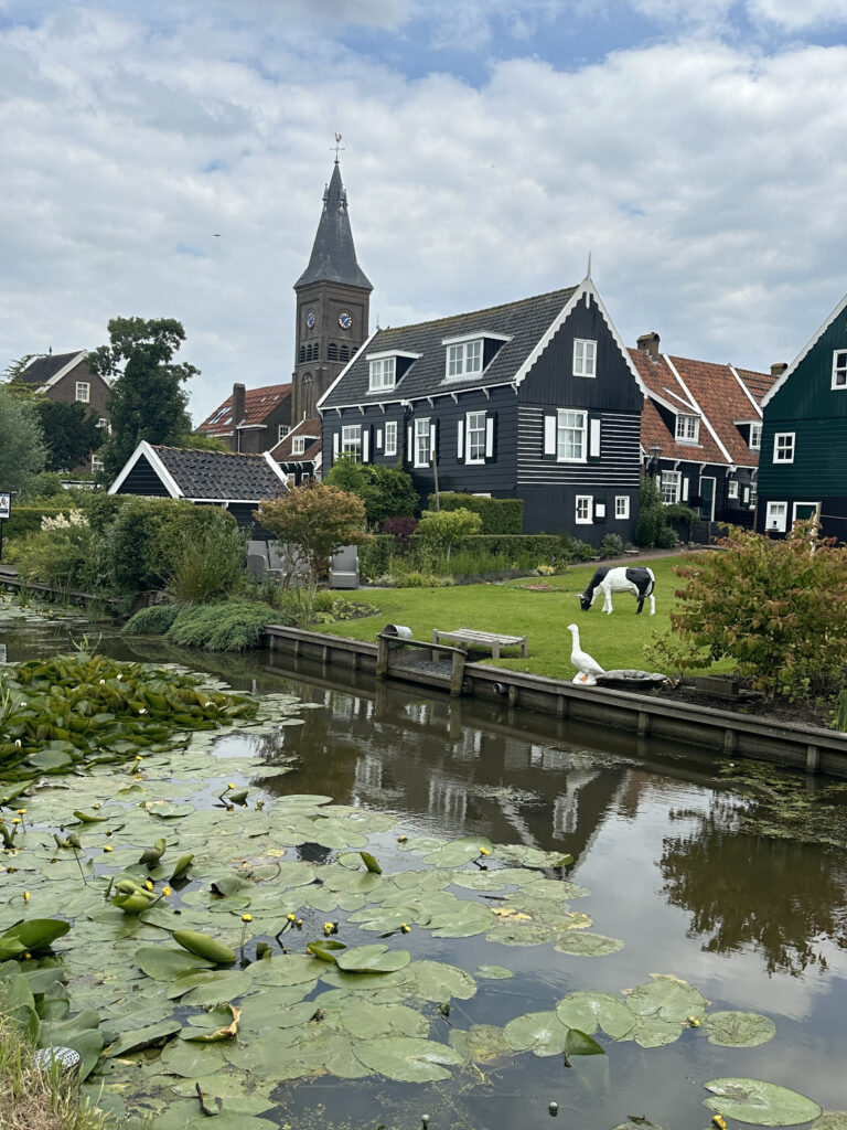 a body of water with a pond and a horse in the foreground
